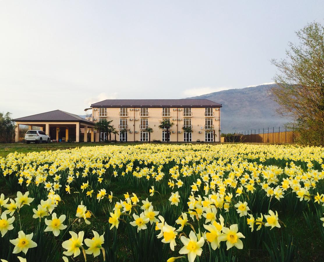 Hotel Askar Alakhadzi Kültér fotó